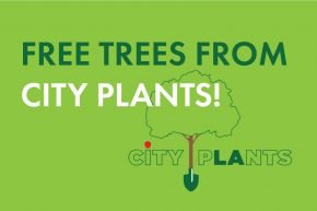 CITY-PLANTS