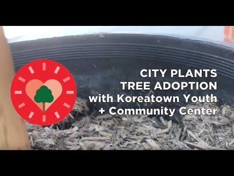 Get Free Trees from City Plants + Read Their Urban Forestry Report