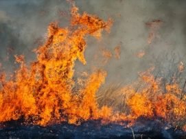 brushfire-shutter___30195513378