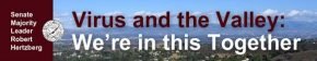 virusandthevalley