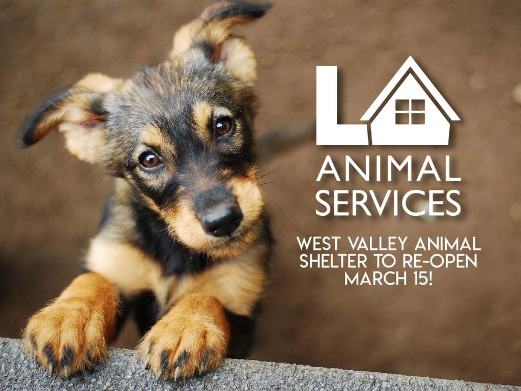west valley animal s